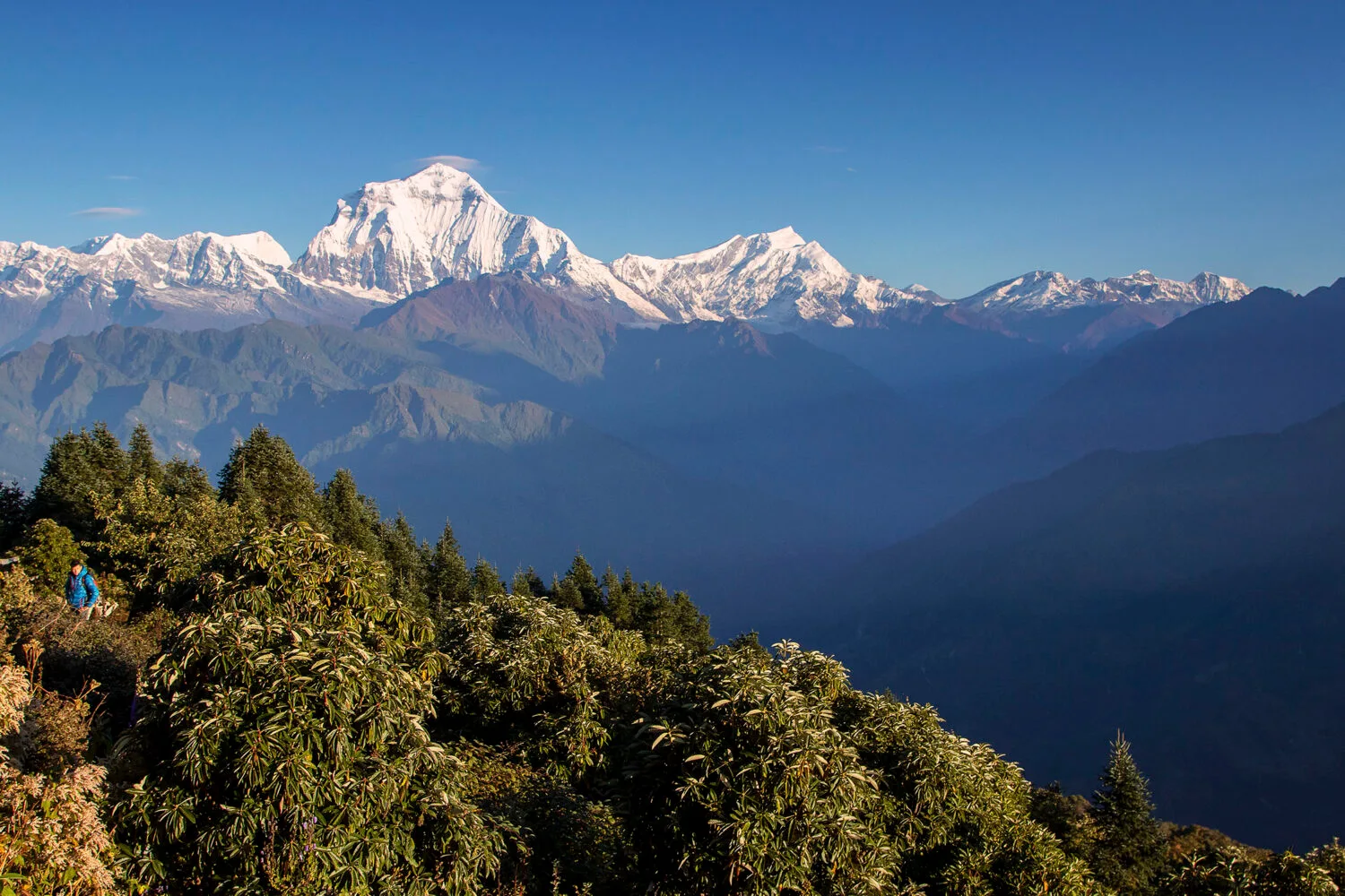 Ghorepani & Poon Hill, journey photograph 2