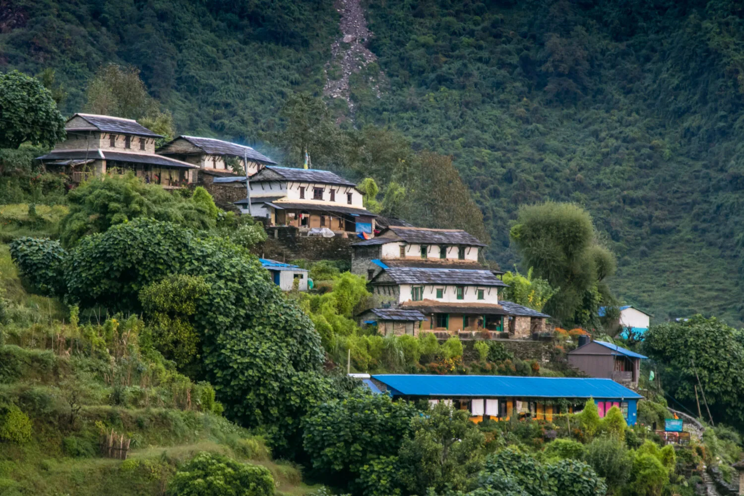 Annapurna journey, photograph 4